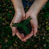 noah-buscher-x8ZStukS2PM-unsplash noah-buscher-x8ZStukS2PM-unsplash